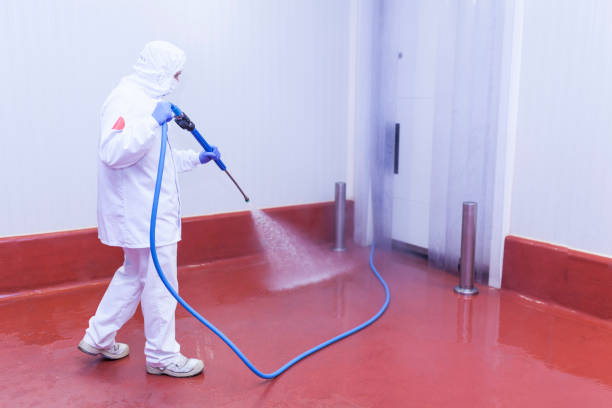 Best Roof Washing  in Lynn Haven, FL