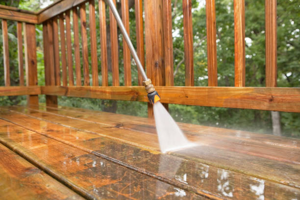 Best Driveway Pressure Washing  in Lynn Haven, FL